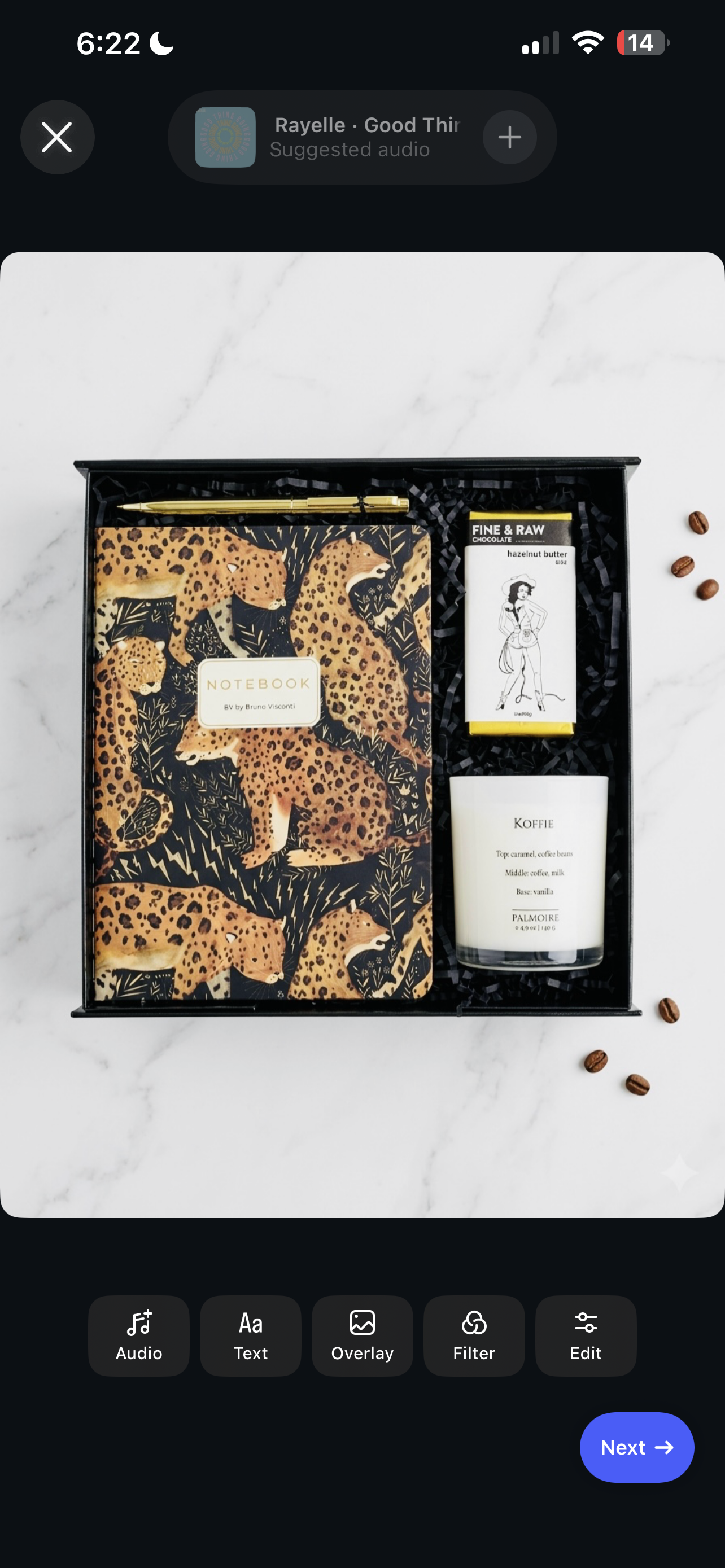 On the Prowl|Creative Leopard Journal and Candle Set